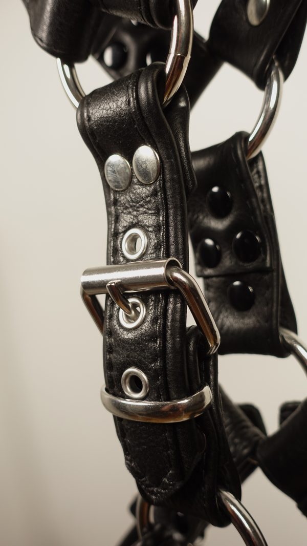 English Bulldog Harness