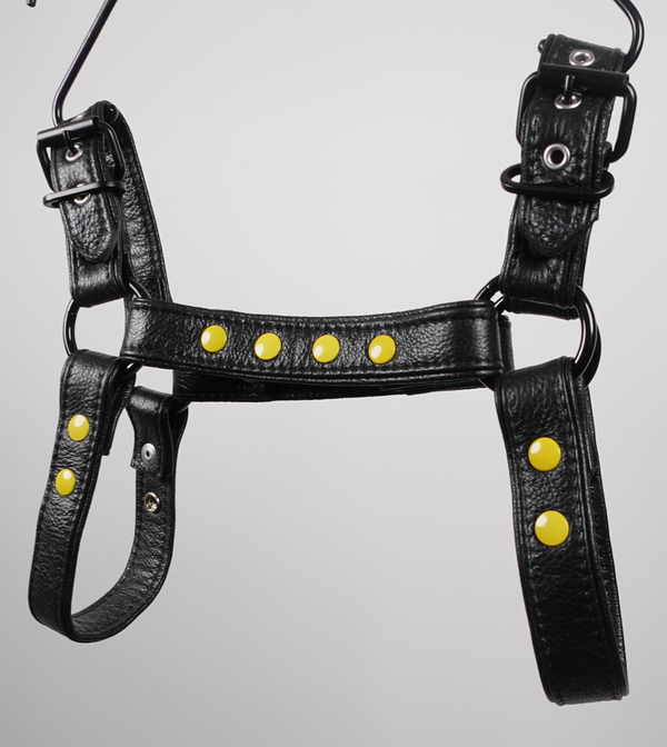 Ltd. Edition Bruiser Harness