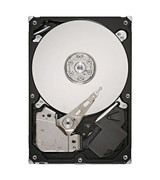 ST3160318AS06 - Seagate 160GB SATA 3Gbps 7200RPM 8MB Cache 3.5-inch Internal Hard Drive Storage