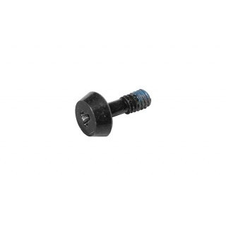 922-9321 - Apple Battery Screw for MacBook Pro 15