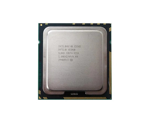NDG4G - Dell 2.0GHz 4MB L3 Cache 4.8GT/s QPI Socket FCLG1366 Intel Xeon E5503 Dual Core Processor