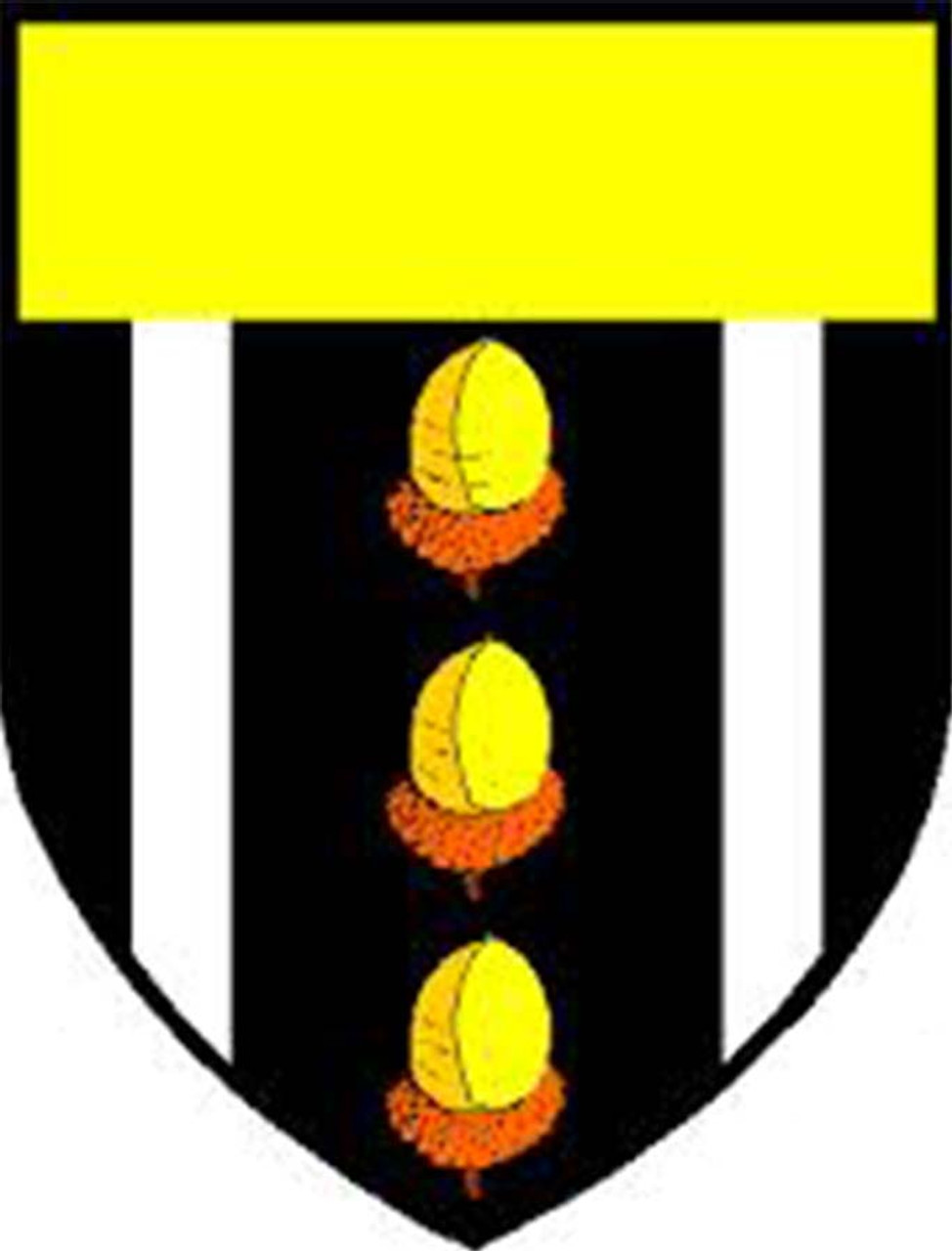 Kelleher Knitting Kit