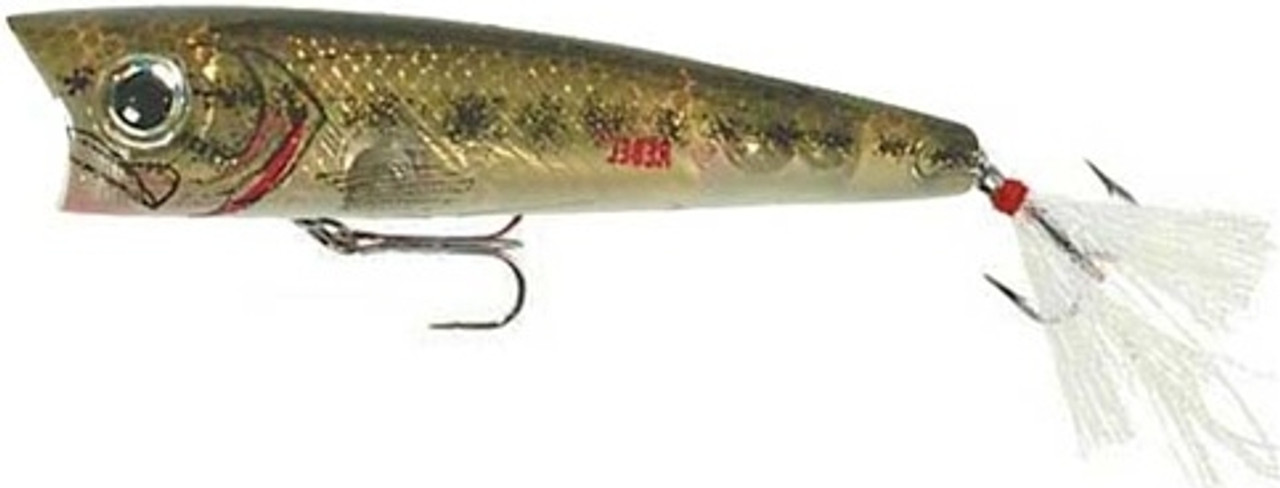 Rebel Pop R Fishing Lure 