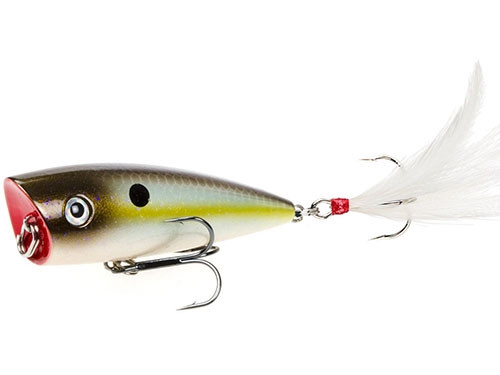 Strike King KVD Splash Popper Jr