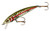 Rebel Tracdown Minnow TD47