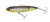 Yo-Zuri 3D Inshore Topknock Pencil