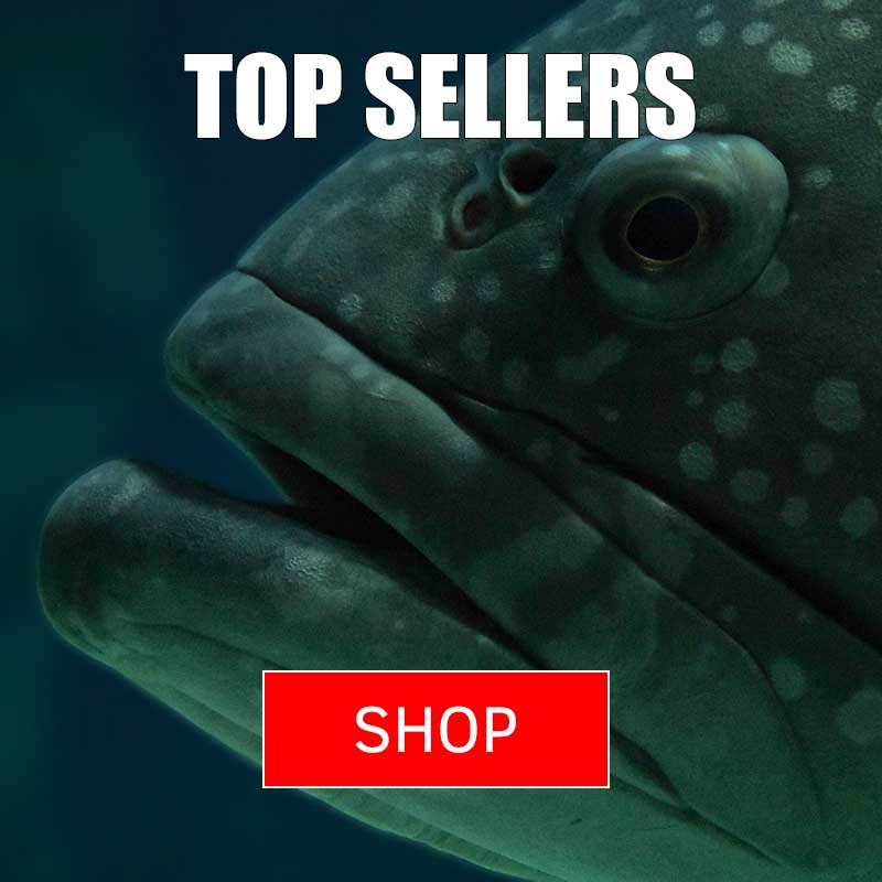 Online Fishing Tackle, Online Shop