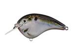  Sulmo The Chick Magnet Flatsided Crankbait - Tip's Special :  Sports & Outdoors