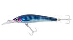 Rapala Xtreme Lures XRAP 160