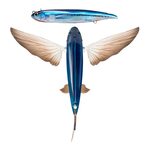 Nomad Lures 8 Slipstream 200 Flying Fish