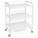 3 Tier Shelf Hairdressing Beauty Trolley