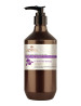 Angel En Provence Iris Florentina Extract Shampoo 400ml Angel En Provence Iris Florentina Extract Shampoo 400ml