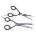 Professional Duo 6" Black Hairdressing Cutting & Thinning Scissor Set