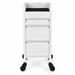 Fusion White 4 Drawer Hairdressing Beauty Trolley - White - Click'n Clean Castor Wheels