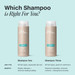 Paul Mitchell Shampoo Two 1000ml