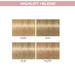Indola BLONDE EXPERT Highlift+Blend H.0+ Natural+ 60ml