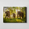 Robert Irwin Large Canvas -  Elephant Paradise