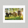 Matte Print ELE005 - Elephantasia Sumatran Elephant