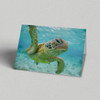 Greeting Card Australia Zoo Turtle Close Up