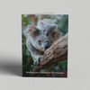 Greeting Card Australia Zoo Koala-ty Birthday