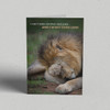 Greeting Card Australia Zoo Happy Father's Day