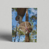 Greeting Card Australia Zoo Land Gift Pack of 10