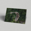 Robert Irwin Greeting Card Brown Falcon