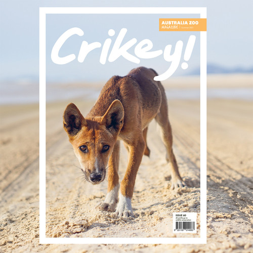 Crikey! Magazine Edition 60