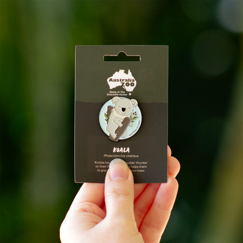 Lapel Pin - Australia Zoo Koala