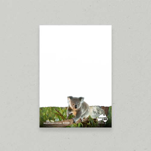 Notepad A5 Koala