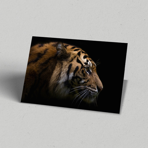 Greeting Card Australia Zoo Sumatran Tiger