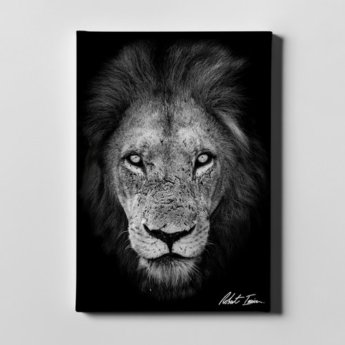 Robert Irwin Large Canvas - Lion Face