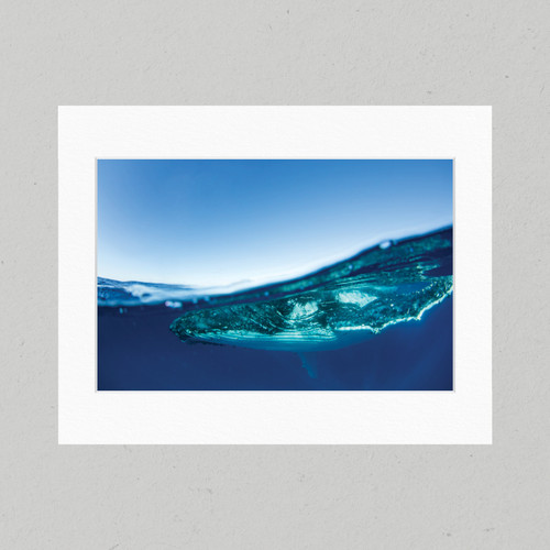 Matte Print 56B - Underwater Under the Surface