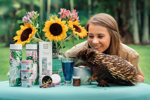 Bindi Tea Tonic Wild By Nature Tea