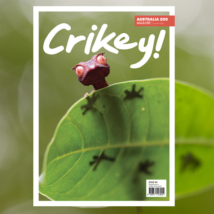 Crikey! Magazine Edition 64