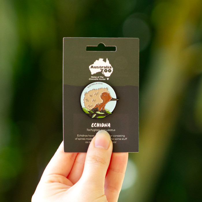 Lapel Pin - Australia Zoo Echidna