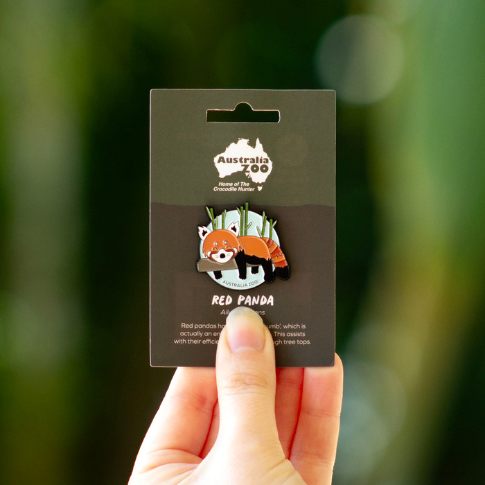 Lapel Pin - Australia Zoo Red Panda