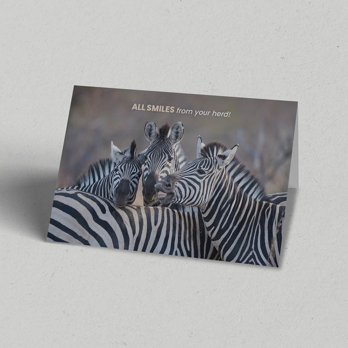 Greeting Card Australia Zoo All Smiles