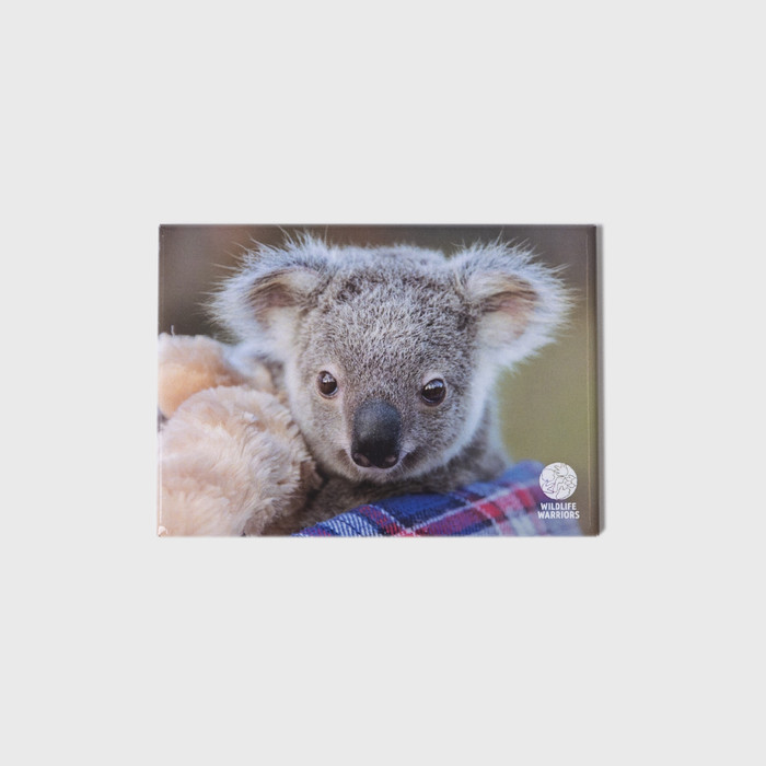Magnet Landscape Large - AZWH Koala Joey