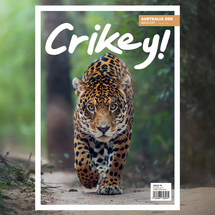 Crikey! Magazine Edition 76