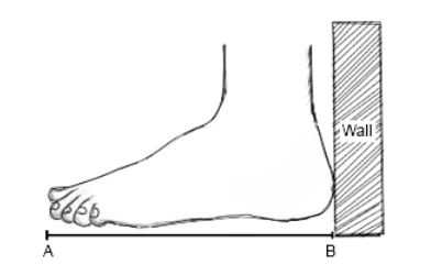 Foot tracing Guide