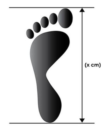 Foot tracing Guide