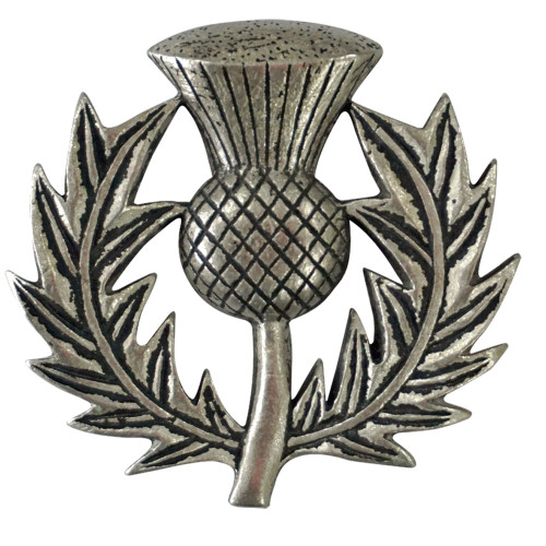 A large Thistle brooch, in a Matt, antique finish, typical of aged Pewter.