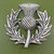 Thistle brooch, in a matt, antique finish, typical of aged Pewter.