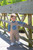 Trotter Street Kids *ON THE HUNT* Jon Jon Set