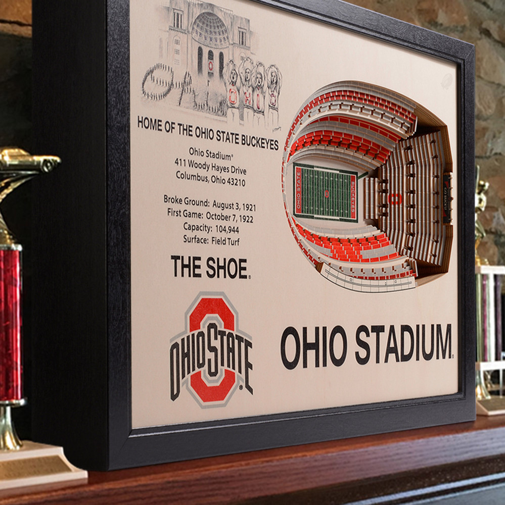 Ohio State Buckeyes Framed 3-D Stadium Art | Stadium Views | 9022312