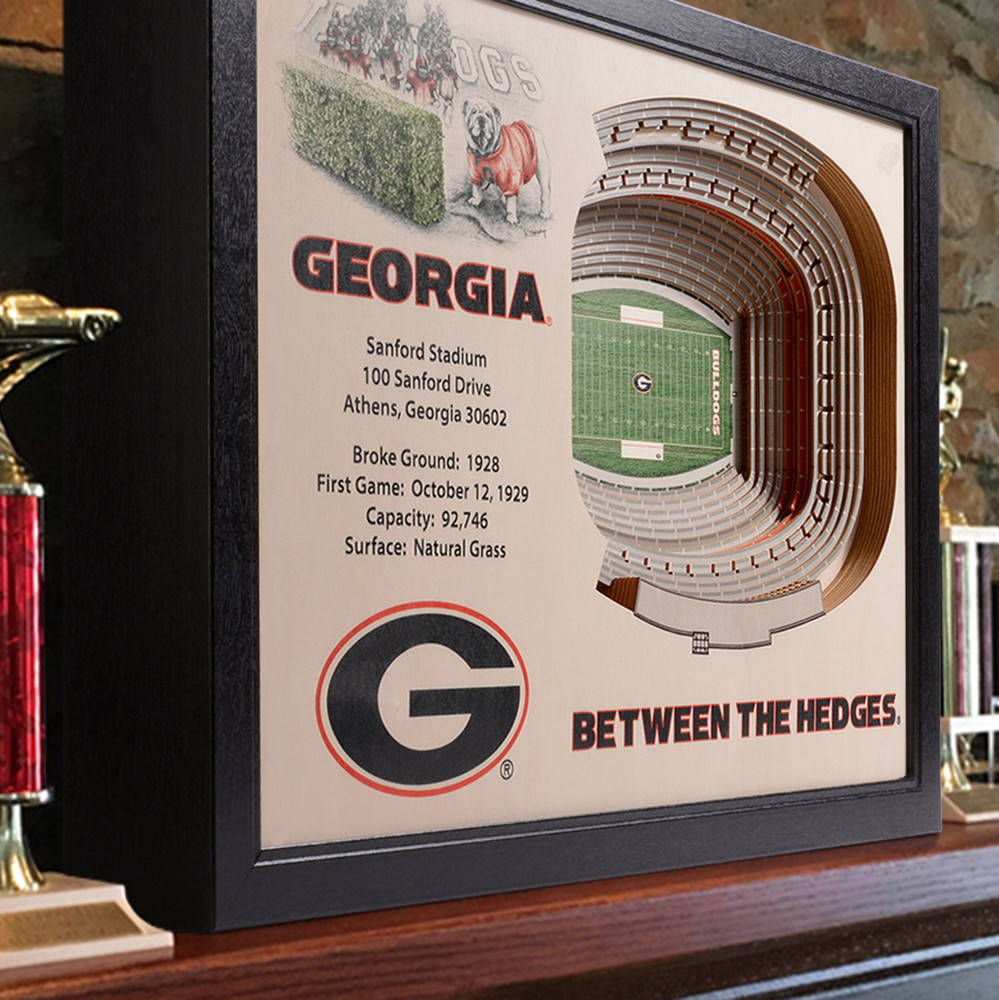 Georgia Bulldogs Framed 3-D Stadium Art