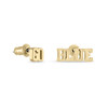 Michigan Wolverines 'GO BLUE' Stud Earrings | Stone Armory | MI-UM304-G