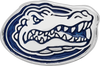 Florida Gators Sterling Silver Enameled Logo Bead | Logo Art | SS500UF