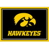 Iowa Hawkeyes 3x4 Area Rug | Imperial |IMP569-3018